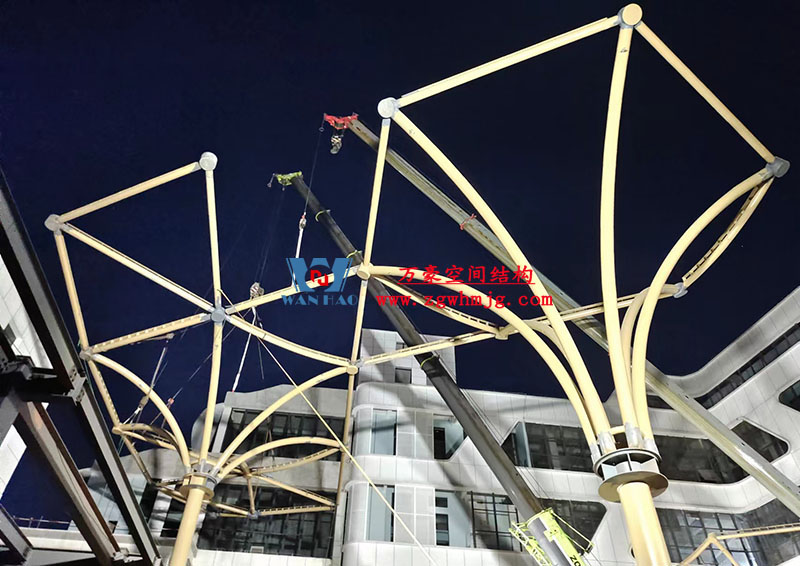 膜結(jié)構(gòu)工程吊裝 膜結(jié)構(gòu)工程吊裝