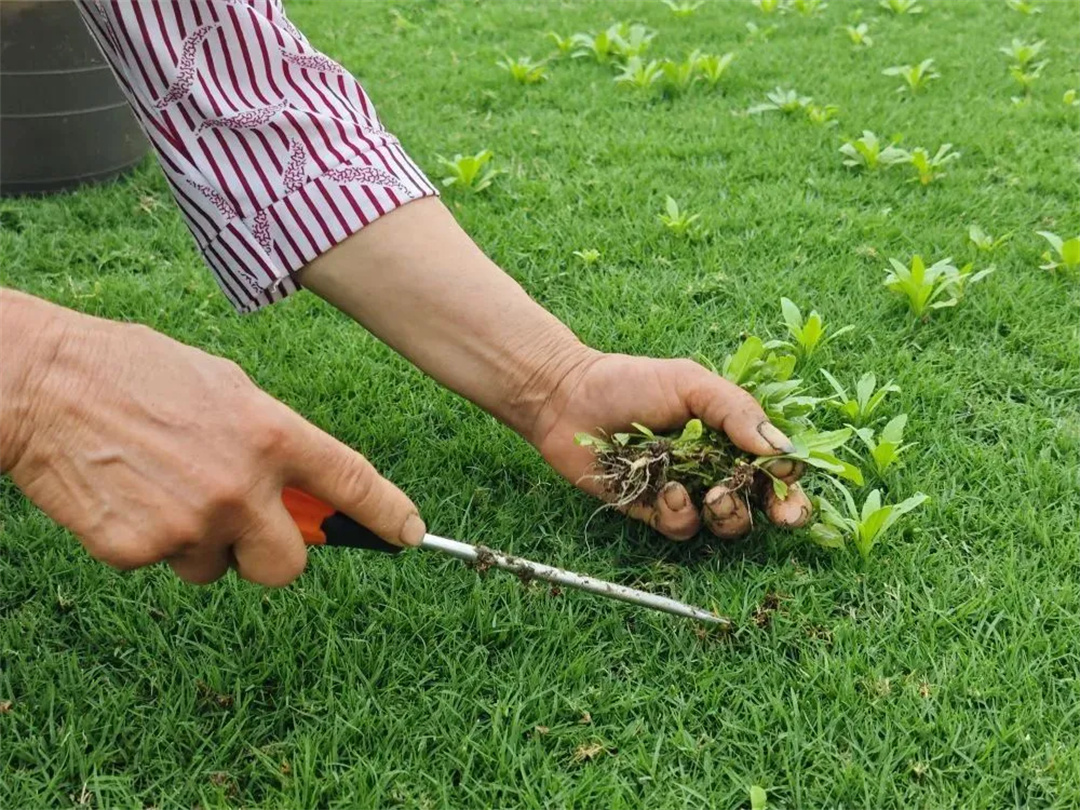 萬豪集團(tuán)匠心助力，6月齊聚重慶龍興足球場為國足吶喊助威！