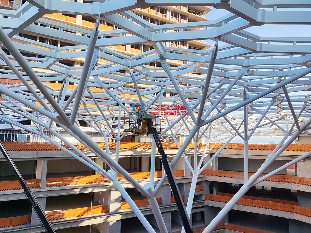 1754370766169952.jpg 6a.jpg