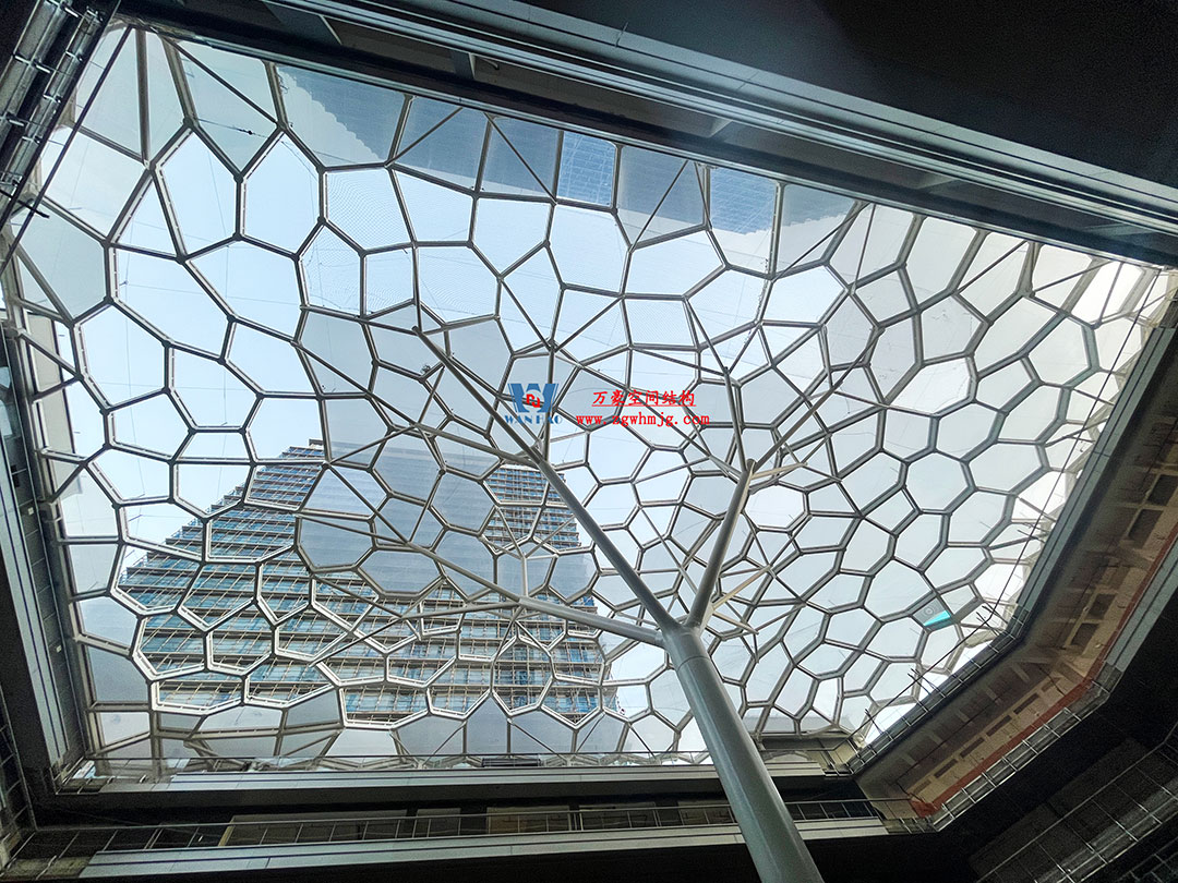 1754370815243477.jpg 12a.jpg